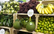 Việt Nam hoàn toàn đáp ứng được nhu cầu nhập khẩu trái cây từ Qatar