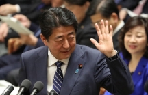 Nhật phủ nhận khả năng tái đàm phán TPP vì Mỹ