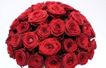 Bó hoa Valentine 999 bông hồng có giá bằng chiếc Audi A3