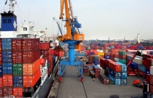 Kim ngạch xuất nhập khẩu tăng mạnh trong dịp Tết Mậu Tuất