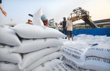 Việt Nam có thể xuất khẩu 6,5 triệu tấn gạo trong năm 2018