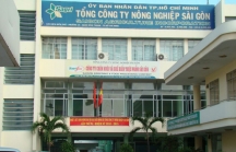 Hé lộ mức lương 'khủng' của TGĐ Công ty Nông nghiệp Sài Gòn vừa bị kỷ luật