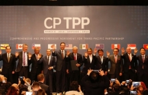 Chính thức ký CPTPP không có Mỹ: 11 quốc gia phát tín hiệu chống chủ nghĩa bảo hộ và chiến tranh thương mại