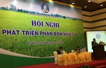 Phân bón hữu cơ giải pháp phát triển nông nghiệp sạch ở Việt Nam
