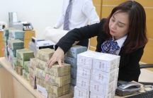 Ngân hàng Việt đón đại sóng lợi nhuận 2018?