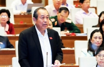 Bộ Tư pháp cho rằng Công ty Thuận Phong sản xuất phân bón giả