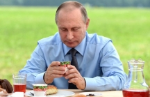 Thói quen ăn uống của tổng thống Vladimir Putin là gì?