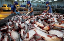 Xem xét khởi kiện lên Tòa án thương mại quốc tế Mỹ về vụ thuế cá tra