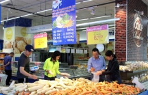 Saigon Co.op giải cứu lượng lớn củ cải su hào cà rốt