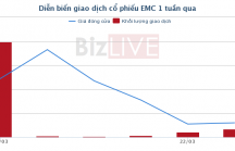 EMC: EVN thoái xong vốn, cổ phiếu liên tục giảm điểm
