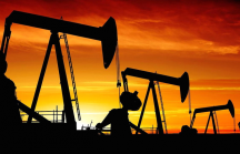 Cổ phiếu dầu khí đồng loạt giảm điểm mạnh trong phiên giao dịch 26/3