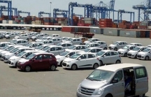 3 tháng đầu năm, ô tô nhập khẩu về Việt Nam giảm mạnh so với cùng kỳ