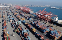 Vận tải biển sẽ gặp nhiều rủi ro trong cuộc chiến thương mại Mỹ - Trung