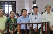 Cựu trung tướng Phan Văn Vĩnh và vụ án 'gỗ lậu' chưa hồi kết