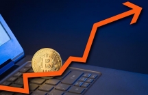 Bitcoin tăng hơn 10% chỉ trong 1 giờ, mức tăng kỷ lục kể từ tháng 12