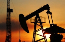 Nghịch lý cổ phiếu Dầu khí: ‘Lình xình’ khi giá dầu cứ tăng