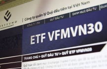 Quỹ VFM VN30 ETF có thể mua vào VNM, STB, NVL, MBB và HPG