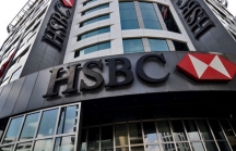 HSBC: LNST 2017 đạt 1.779 tỷ đồng, tăng gần 24%