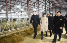 Quỹ RFPI của Nga đầu tư 630 triệu USD vào dự án sản xuất sữa của Tập đoàn TH