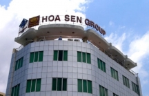 Công ty của vợ Chủ tịch HĐQT Tôn Hoa Sen đã ‘trao tay’ cổ phiếu HSG cho ai?