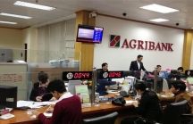 Nhân viên Agribank thu nhập bình quân 23,4 triệu, sếp quản lý gần 74 triệu đồng/tháng