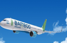Chưa đầy tháng đăng tuyển, Bamboo Airways đã hạ tiêu chuẩn học vấn tiếp viên