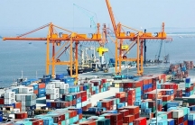 Xuất nhập khẩu tháng 6 giảm 3,5%