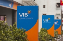 Phó Tổng giám đốc VIB muốn mua 2,3 triệu cổ phiếu VIB