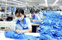 Kim ngạch xuất khẩu dệt may dự kiến vượt 1 tỷ USD