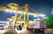 Thủ tướng chỉ thị đẩy mạnh các giải pháp giảm chi phí logistics