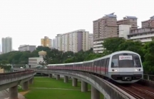 Hàn Quốc sẵn sàng hỗ trợ TP Đà Nẵng quy hoạch hệ thống đường sắt đô thị