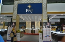 VDS: Các cửa hàng của PNJ ở phía Bắc chưa đạt hiệu quả cao