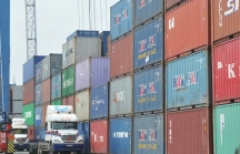 Hơn 5.000 container phế liệu tồn tại Hải Phòng và TP.HCM