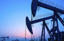 Giá dầu không ngừng giảm sâu