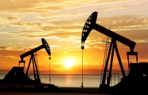 Đã đến lúc nhà đầu tư cần cẩn trọng 'sóng' cổ phiếu dầu khí?