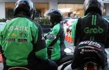 Liệu Go-Jek có thắng được Grab tại TP.HCM như ở Indonesia?