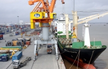 Nguy cơ bị thu hồi bến cảng, Tập đoàn Công Thanh 'kêu cứu' UBND tỉnh Thanh Hóa