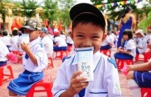Chương trình Sữa học đường quốc gia được triển khai thế nào?