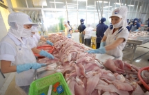 Sau tôm, Mỹ giảm thuế cá tra Việt Nam