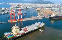 VAFI kiến nghị đấu giá công khai 75% vốn Cảng Quy Nhơn