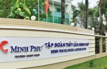 Minh Phú vượt 12 bậc, đứng thứ 41/100 công ty thủy sản lớn nhất thế giới