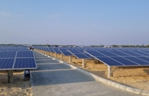 Gia Lai: Nhà máy Điện mặt trời Krông Pa sẽ đóng điện vào tháng 11/2018