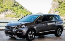 Peugeot bảo hành 5 năm cho xe 5008 và 3008 AllNew