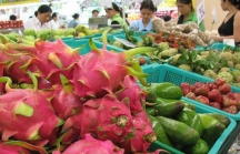 Nửa tỷ USD trái cây Thái Lan 'mượn đường' Việt Nam sang Trung Quốc