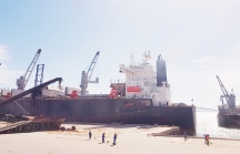 Hà Tĩnh sẽ xây dựng trung tâm Logistics mang tầm quốc tế tại cảng Vũng Áng