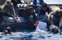 Một thợ lặn thiệt mạng trong vụ máy bay rơi ở Indonesia