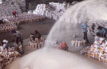 Doanh nghiệp phân phối gạo lớn nhất nước Úc thâu tóm nhà máy chế biến gạo của Việt Nam