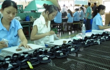 Thực thi CPTPP VÀ EVFTA: Lo năng lực doanh nghiệp Việt