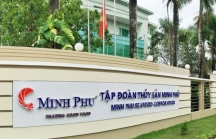 “Vua tôm” Minh Phú báo lãi hơn 700 tỷ 10 tháng đầu năm