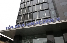 Vinaconex có gì cuốn hút các nhà đầu tư tham gia?